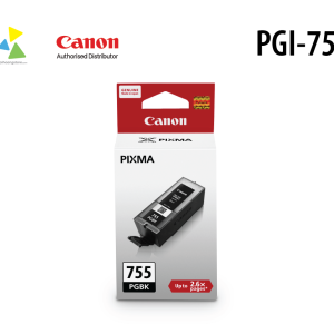 Hộp Mực In Canon PGI-755 Đen Pigment Chính Hãng